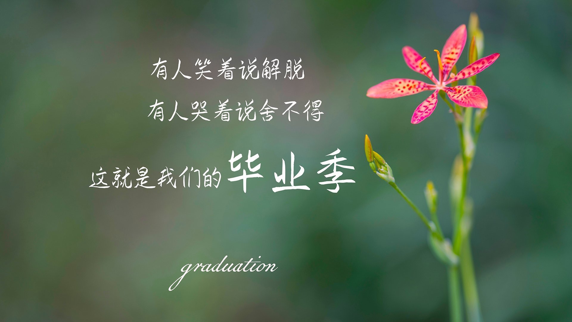 关键先生与战术铁锤，阿圭罗的绝杀艺术与拉齐奥的瑞士压制