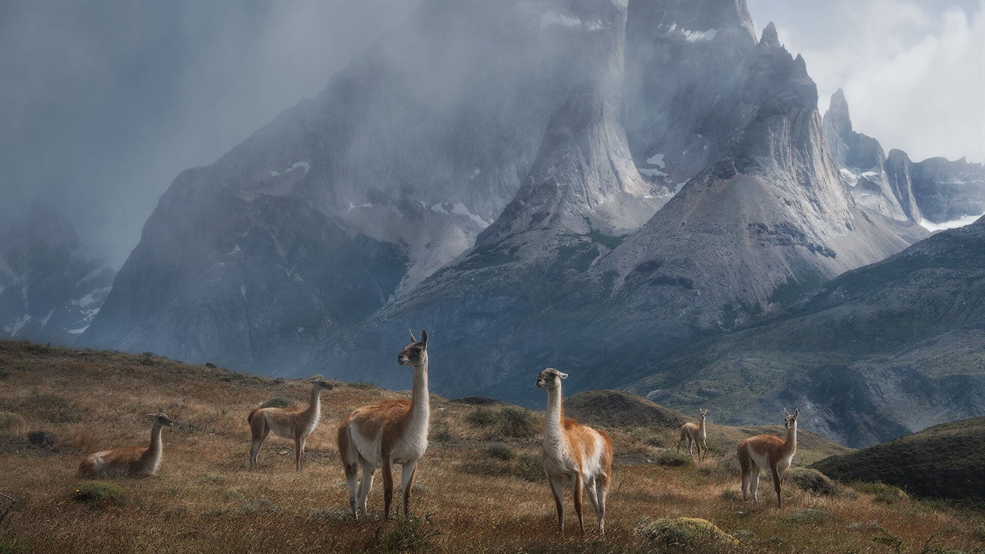 日本武士单骑闯关！富安健洋一箭穿心，尼斯奇迹打穿蓝黑军团
