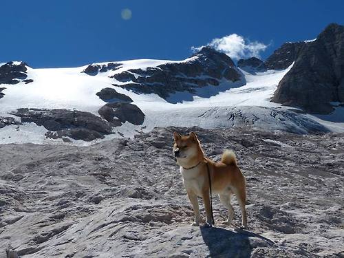 舞台越大，越亮的光芒，从塔图姆的传奇表现看篮球无国界的启示