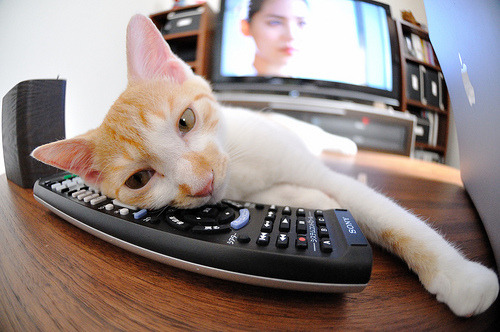 塔图姆稳定输出难挽颓势,火箭攻防一体完胜凯尔特人