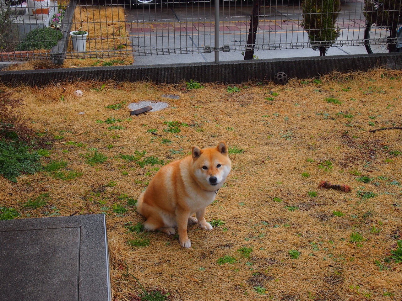 熔炉之夜，阿尔瓦雷斯如何在奥运关键战中完成史诗级里程碑？