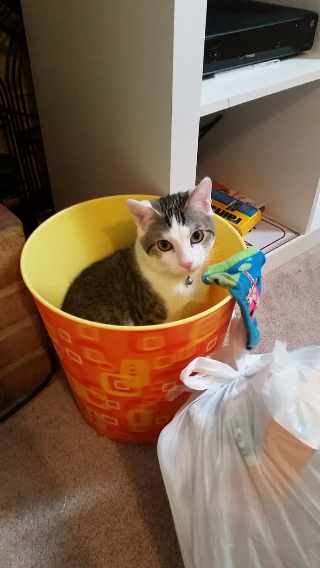 死亡射手，西决生死战，贝恩用稳定之光照亮胜利之路