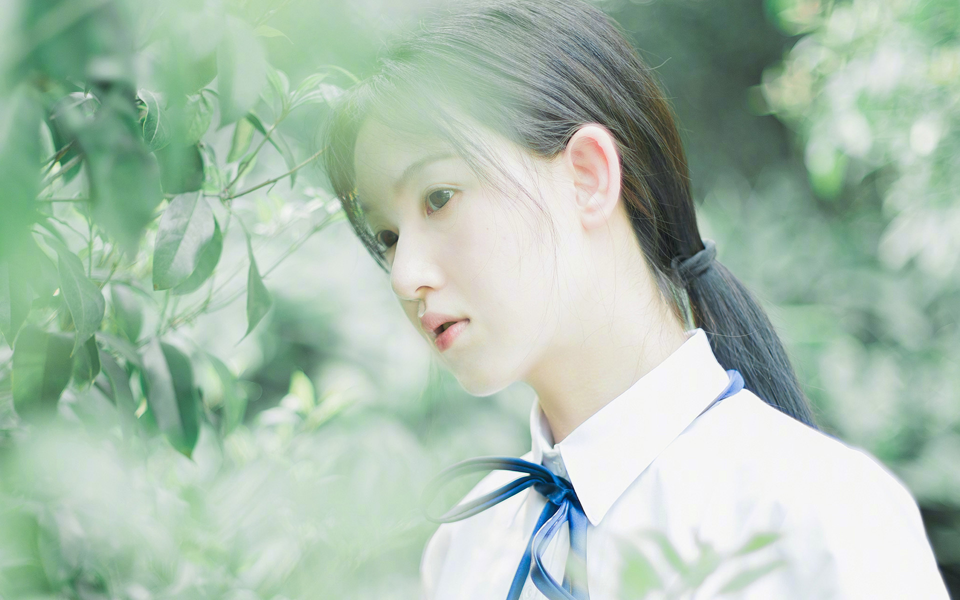 坚韧淬火终胜钢刃，欧文杀阵独木难支，团队篮球的胜利与孤星的挽歌