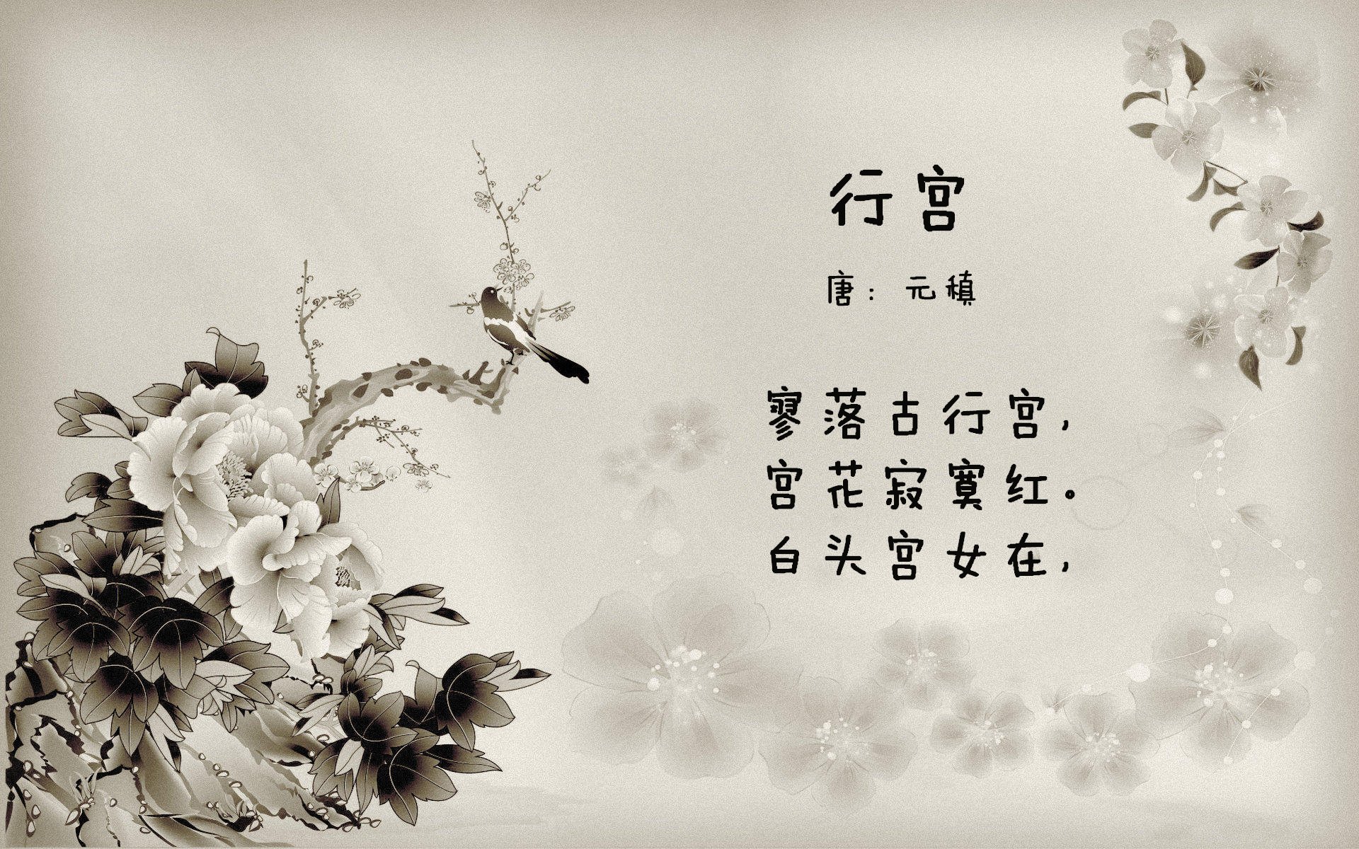 一场跨越时空的对决,奥斯梅恩在哥斯达黎加与爱尔兰的友谊赛中展现完美统治力