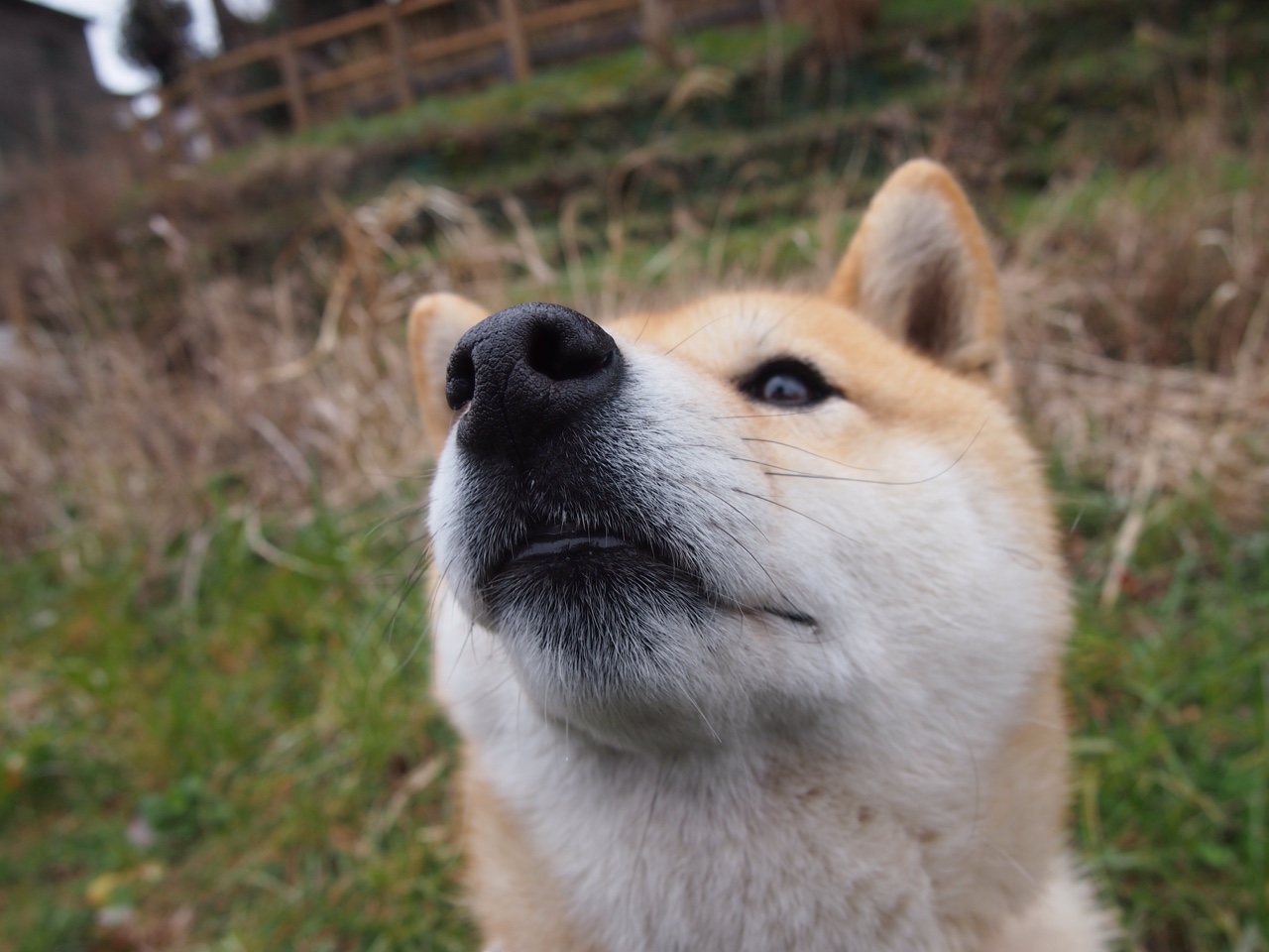 西决生死战之夜,从不抢走月亮的卡瓦哈尔,却铺就了星光之路