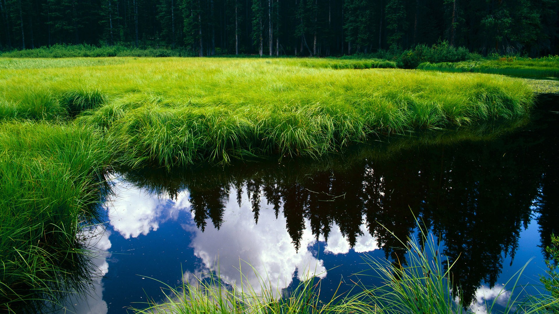 战术与速度的交响，比利亚雷亚尔足球智慧压制日本，京多安在F1赛道上的华丽接管