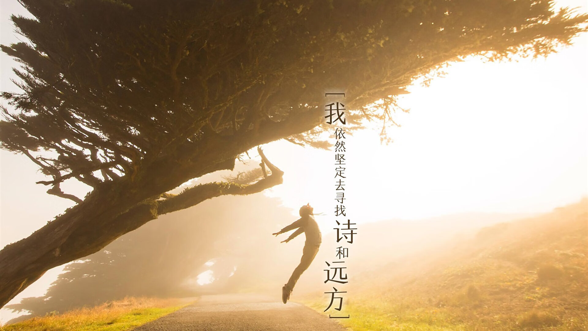 黑金风暴，当姆巴佩披上加纳战袍，2026世界杯的归化神话如何撕裂墨西哥
