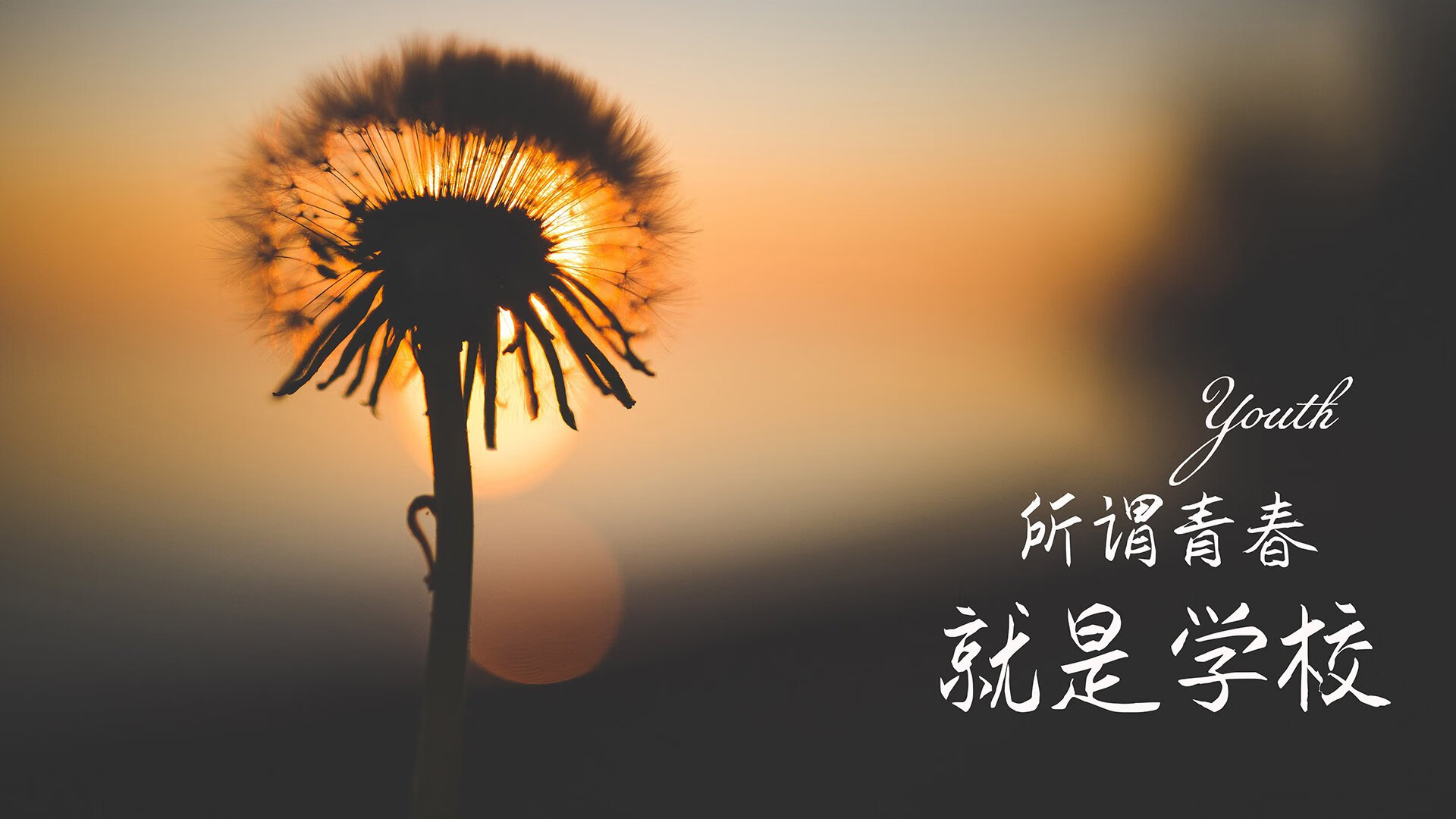当潘帕斯雄鹰折翼,一场唯一性的风暴,如何定义2026世界杯的H组传奇